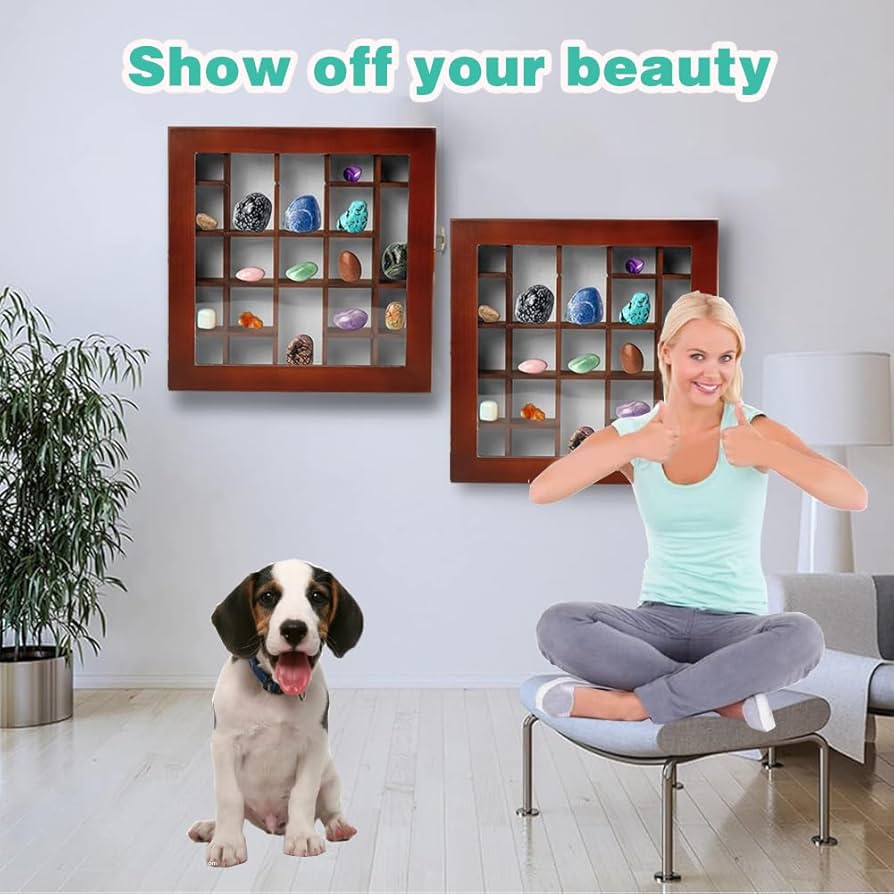 Amazon.com - JUTSTJUKO Adjustable Rock Display Case Rock